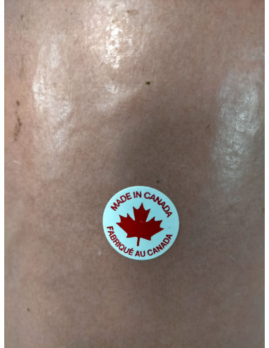 Recambio tubo de chimenea Canadá