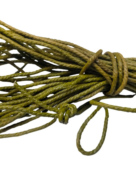 Lote de cuerdas militar US