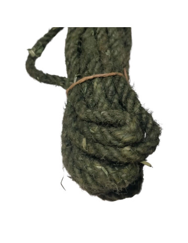 Lote de cuerdas militar US