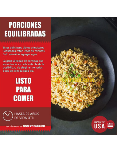Bolsa 60 raciones de emergencia variadas (desayunos, comidas y cenas) liofilizadas ReadyWise MRE