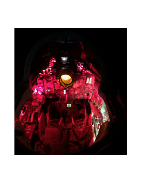 Cabina MIG 21 Completa
