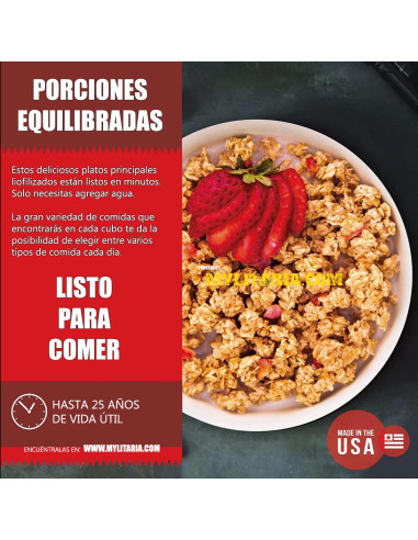 Cubo 120 raciones de emergencia variadas (Desayunos) ReadyWise MRE