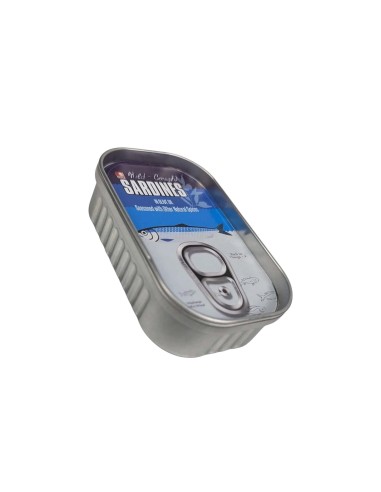 Caja de seguridad camuflada Sardinas