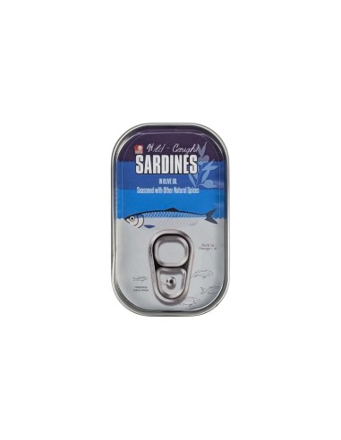 Caja de seguridad camuflada Sardinas