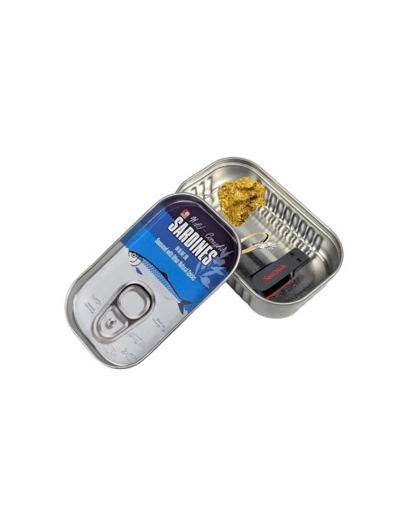 Caja de seguridad camuflada Sardinas