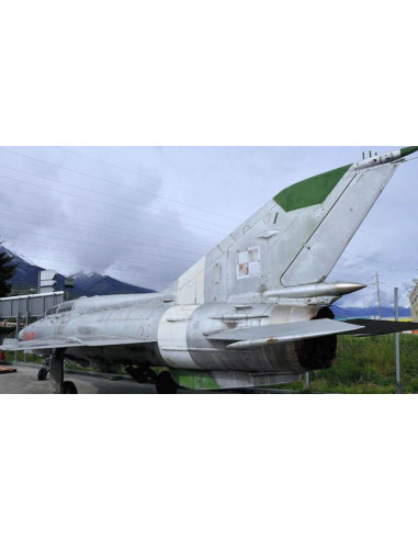 Avión militar MIG-21 UM