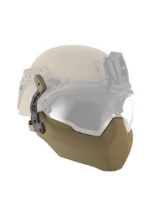 Protección mandíbula REVISION